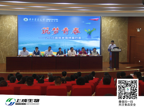 筑夢(mèng)青春 攜手并進(jìn)