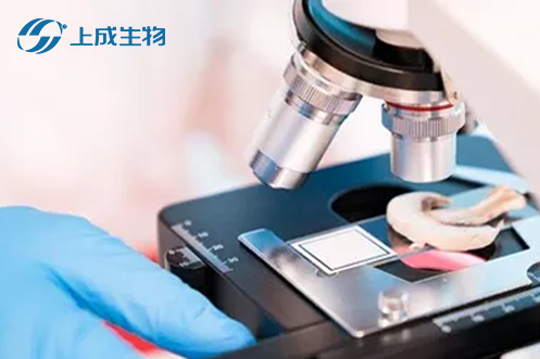 喜報(bào)，上成生物攜手荊州市四大檢測(cè)部門擬定食用農(nóng)產(chǎn)品快檢實(shí)驗(yàn)室建設(shè)運(yùn)行標(biāo)準(zhǔn)