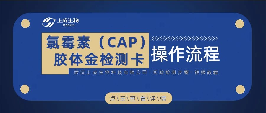 視頻教程 ▏氯霉素(CAP)膠體金檢測卡操作流程